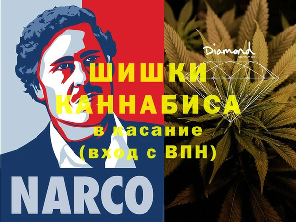стаф Аркадак