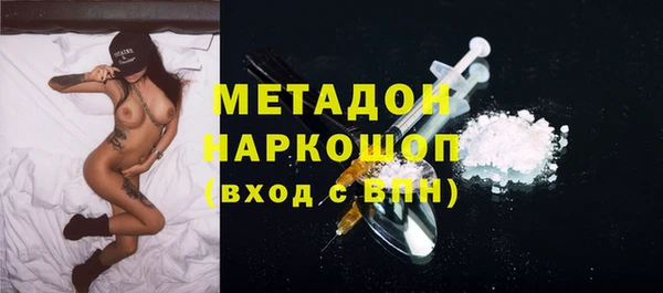 стаф Аркадак