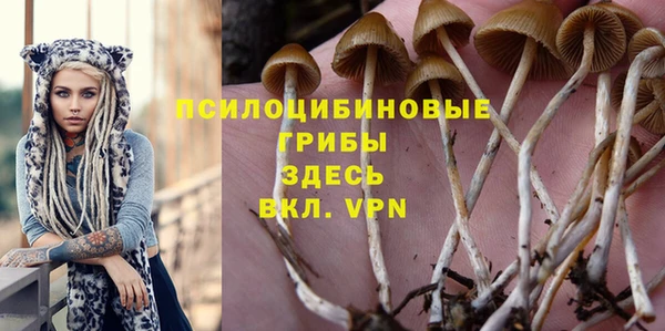 амф Армянск